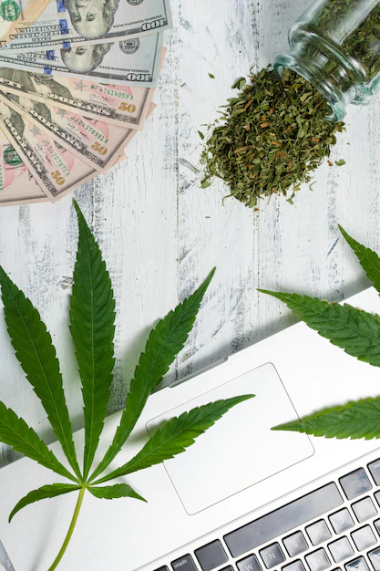 What will SEO give to your marijuana business?