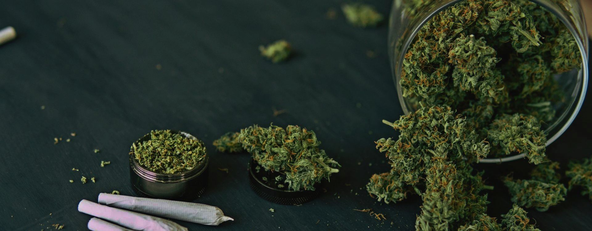 Local cannabis SEO techniques will allow you to maximize your positions within your region when Google users search for nearby dispensaries, CBD Stores or seed banks.