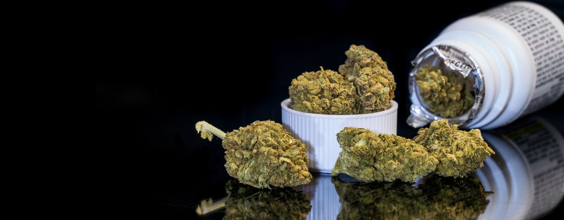 We specialize in SEO and know what dispensaries need. Through our SEO services, we increase clients' revenue.